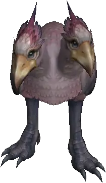 Tiny Baby Kookaburra