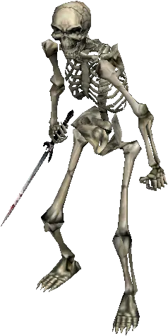 Skeleton Hunter