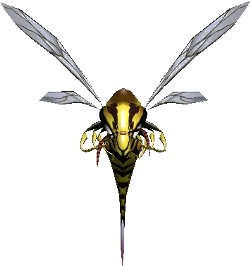 Wasp Worker