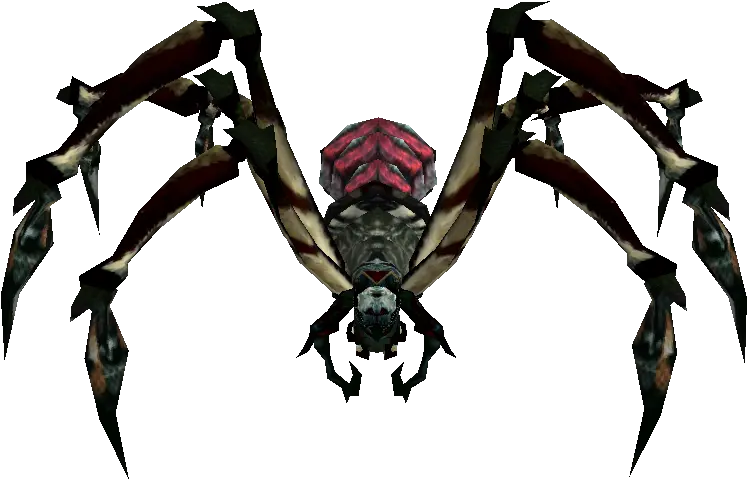 Purgatory Tarantula