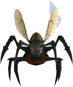 Cave Noble Ant